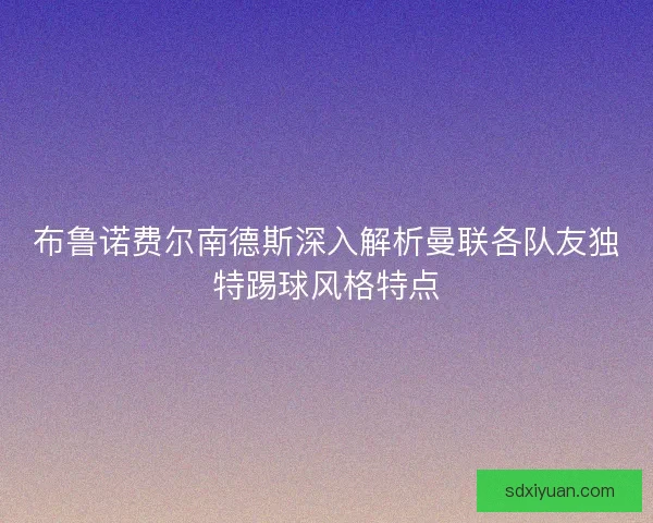 布鲁诺费尔南德斯深入解析曼联各队友独特踢球风格特点